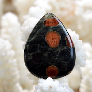 Obsidienne cacahuète 19 carats - cabochon pierre naturelle - Mexique / FH31