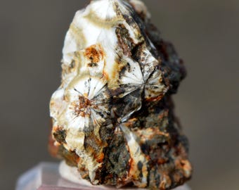 Thomsonite-Ca 15 grams - Lomba dos Pianos quarry, Magoito, São João das Lampas e Terrugem, Sintra, Lisbon, Portugal