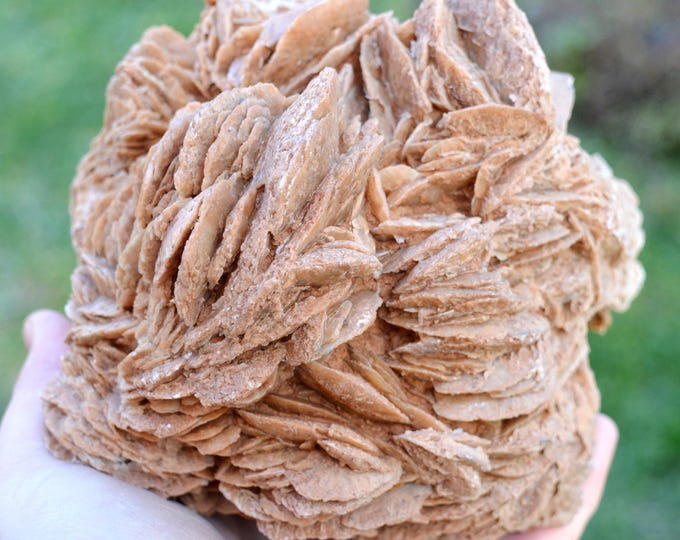 Gypsum var. Rose des sable 3520 grams - Gargas, Apt, Vaucluse, Provence-Alpes-Côte d'Azur, France