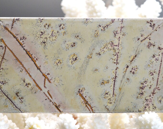 Polished Slice - Landscape Stone 125 mm - Guilin, Guangxi, China