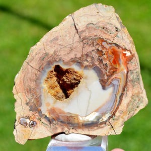 Chalcedony var. agate & Quartz &quot;Lithophyse&quot; 225 grams - Esterel Massif, Var, France