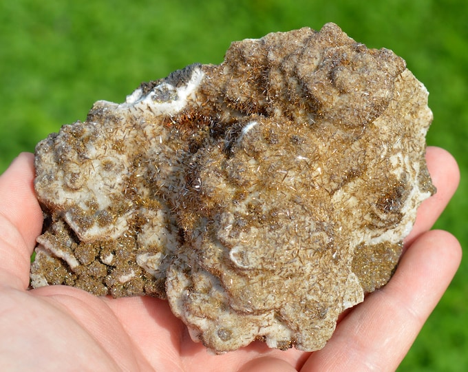 Wulfenite & Vanadinite on limonite - 424 grams - Erupción Mine, Los Lamentos Mts, Ahumada Municipality, Chihuahua, Mexico