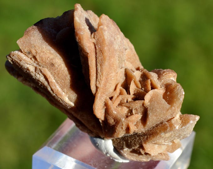 Gypsum var. Rose des sables 54 grams - Arfoud Cercle, Errachidia Province, Drâa-Tafilalet Region, Morocco