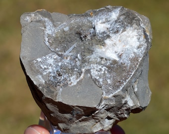 Septaria & Celestine 210 grams - Condorcet, Nyons, Drôme, Auvergne-Rhône-Alpes, France