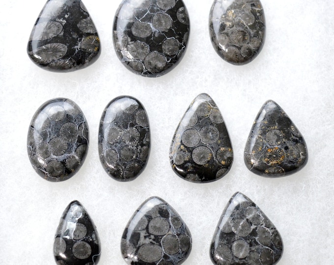 Lot of 10 fossil coral cabochons - 240 carats - natural stone cabochon // BT24