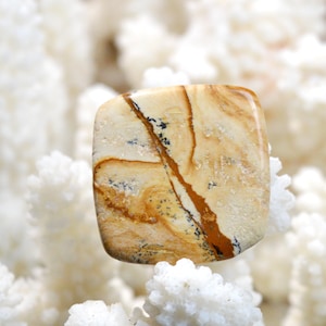 Jaspe Paysage 25 carats - cabochon pierre naturelle - Namibie / EQ20