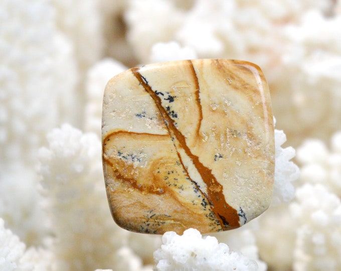 Landscape Jasper 25 carats - natural stone cabochon - Namibia / EQ20