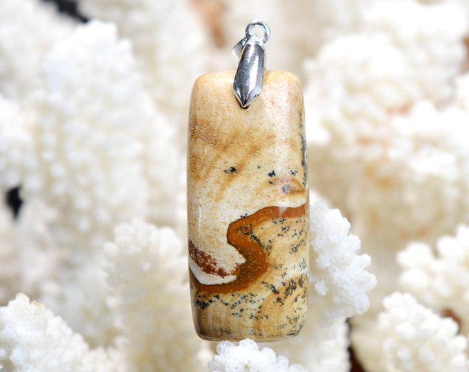 Landscape Jasper 55 carats - natural stone cabochon pendant - Namibia / EH10