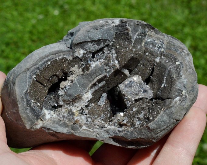 Diamond quartz on septaria 508 grams - Rémuzat, Nyons, Drôme, Auvergne-Rhône-Alpes, France