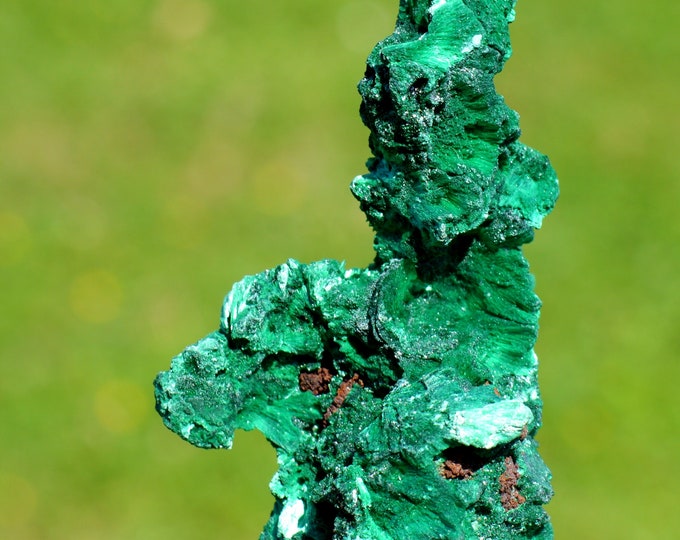 Malachite 58 grams - L'Etoile du Congo Mine, Lubumbashi, Haut-Katanga, DR Congo
