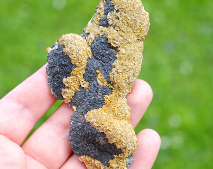 Siderite & Blende 123 grams - Peyrebrune, Montredon-Labessonnié, Castres, Tarn, Occitanie, France