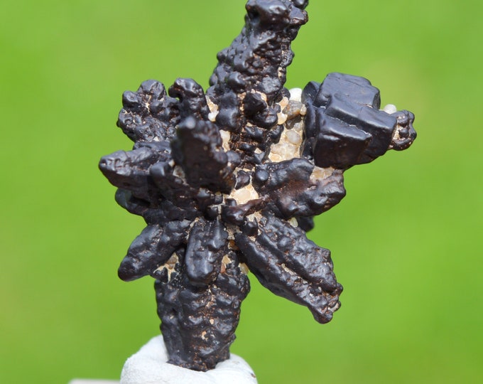 Goethite pseudomorphose after Marcasite - 17 grams - White Desert, Farafra Oasis, New Valley Governorate, Egypt