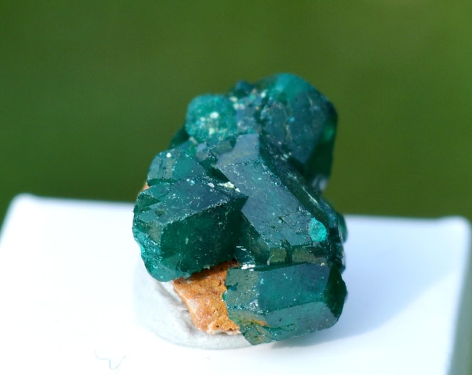 Dioptase 2.2 grams - Tantara Mine, Shinkolobwe, Kambove Territory, Haut-Katanga, DR Congo