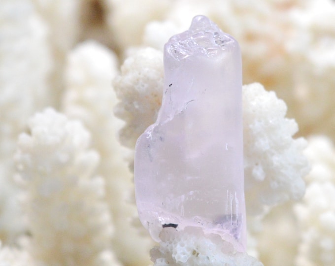 Spodumene var. Kunzite 11 grams - Gilgit-Baltistan, Pakistan