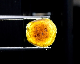 Australite tektite - 2.6 carats - Myrtle Springs, Pastoral Unincorporated Area, South Australia, Australia