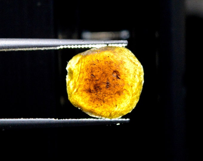 Australite tektite - 2.6 carats - Myrtle Springs, Pastoral Unincorporated Area, South Australia, Australia