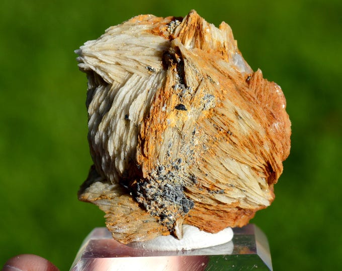 Baryte & Galena 99 grams - Le Buisson Mine, Montmirat, Saint-Étienne-du-Valdonnez, Mende, Lozère, Occitanie, France