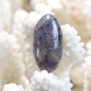 Cordiérite Iolite - 18.3 carats - cabochon pierre naturelle - Australie / ES3