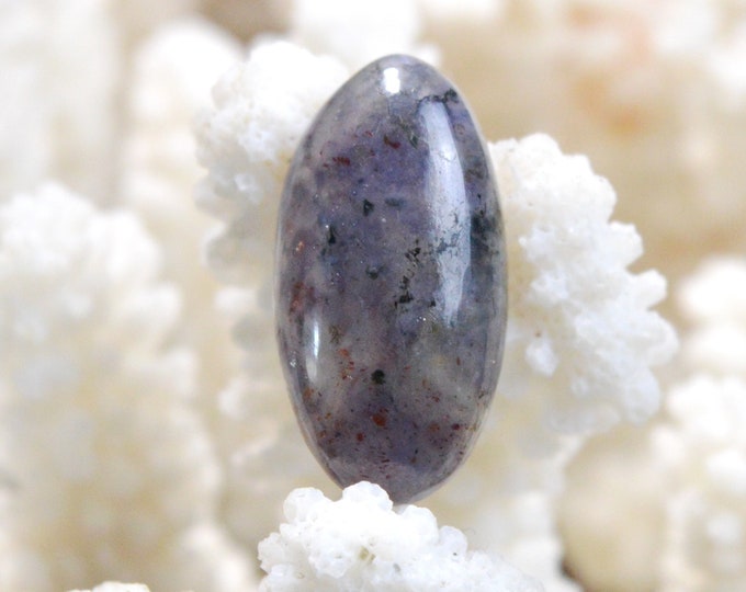Cordiérite Iolite - 18.3 carats - cabochon pierre naturelle - Australie / ES3