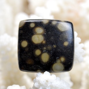 Scapolite dans mica - 42 carats - cabochon pierre naturelle - Inde // BS25