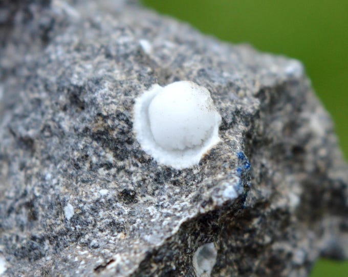 Gonnardite 45 grams - Bergonne Lime, Gignat, Issoire, Puy-de-Dôme, Auvergne-Rhône-Alpes, France