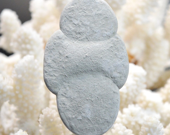 Fairy stone - 51 grams - Harricana River, Quebec, Canada