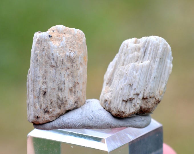Pumice stone 9 grams - Rochefort-Montagne, Issoire, Puy-de-Dôme, Auvergne-Rhône-Alpes, France