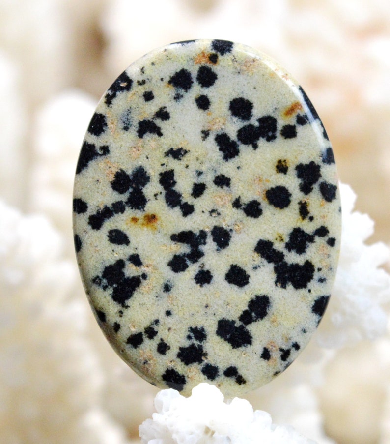 Jaspe dalmatien 37 carats Mexique REF AW15 cabochon pierre naturelle