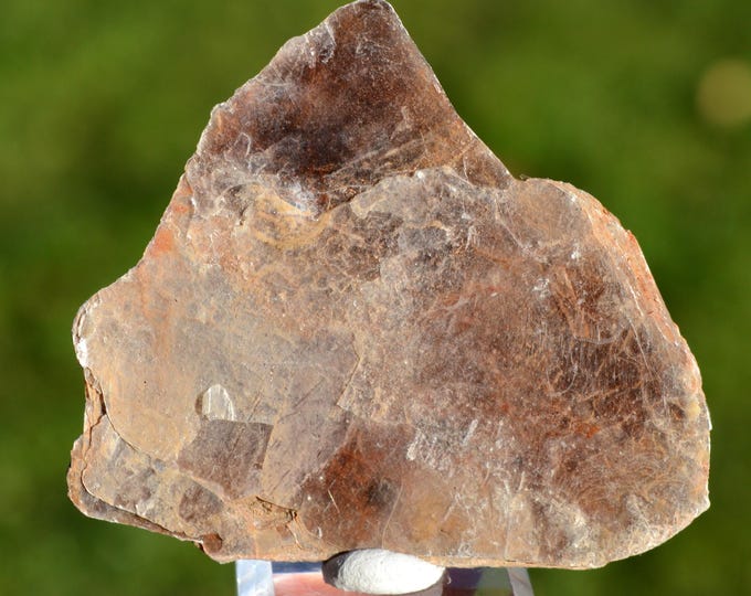 Muscovite 15.8 grams - Buranga pegmatite, Muhororo, Ngororero District, Western Province, Rwanda