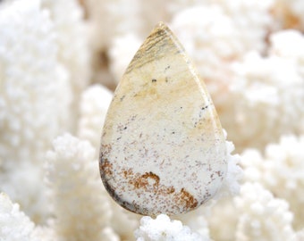 Landschapsjaspis 40 karaat - natuurstenen cabochon - Namibië / EQ13