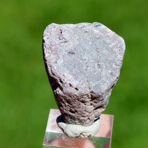 Könnte beinhalten: Ein unregelmäßig geformtes, hellviolettes Gestein. Der Stein hat eine strukturierte Oberfläche mit kleinen Vertiefungen und Farbvariationen. Er ist auf einem transparenten, quadratischen Sockel mit einer kleinen, runden, grauen Halterung montiert.