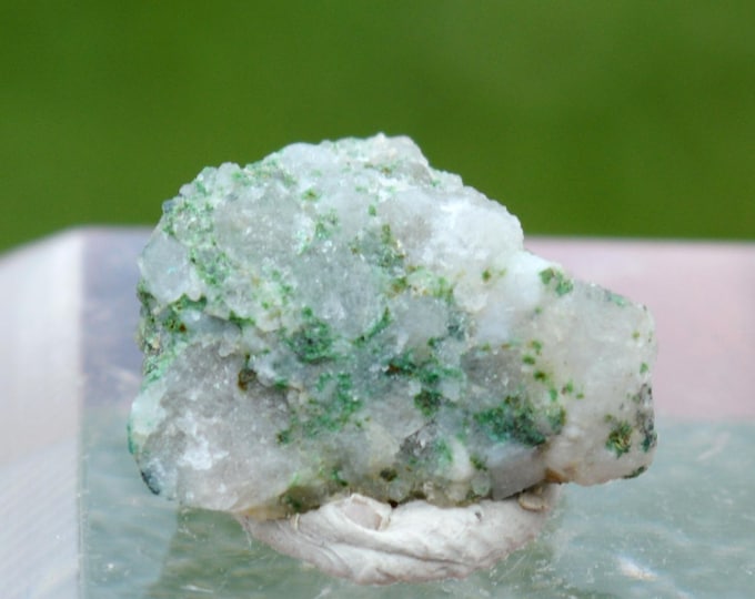 Parnaute 1.1 grams - Cap Garonne Mine, Le Pradet, Toulon, Var, Provence-Alpes-Côte d'Azur, France