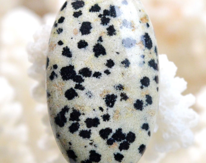Jaspe dalmatien 30 carats - cabochon pierre naturelle - Mexique // REF AW10