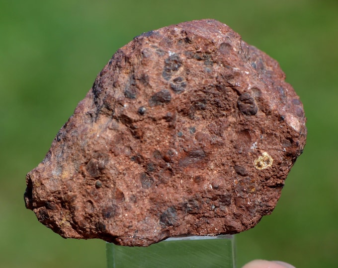 Nodular bauxite - limonite and hematite 68 grams - Le Thoronet, Brignoles, Var, Provence-Alpes-Côte d'Azur, France
