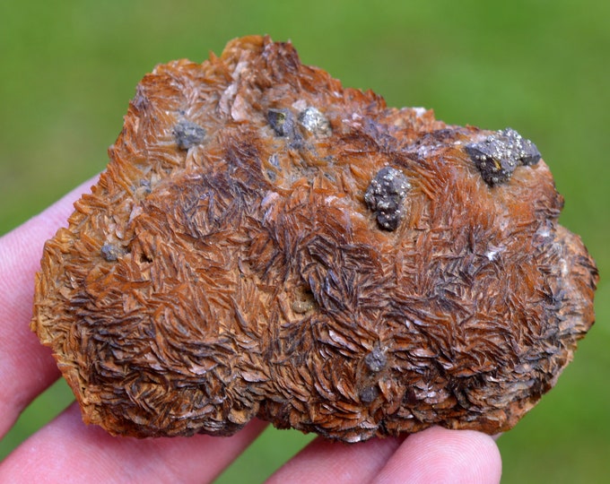 Pyrite & Siderite 156 grams - Peyrebrune, Montredon-Labessonnié, Castres, Tarn, Occitanie, France