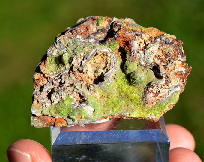 Pyromorphite 71 grams - Willnau dumps, Hofsgrund, Oberried, Breisgau-Hochschwarzwald, Freiburg Region, Baden-Württemberg, Germany