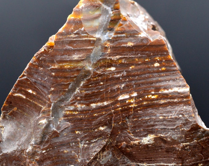 Brown opal - 159 grams - Königswinter, Rhein-Sieg-Kreis, Cologne, North Rhine-Westphalia, Germany