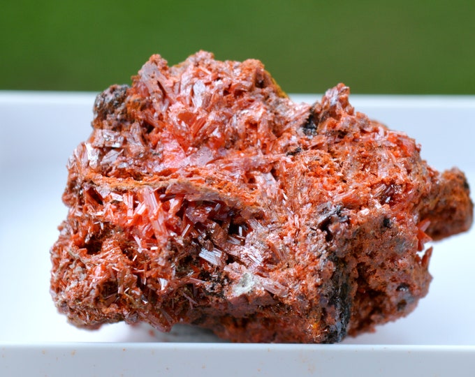 Crocoite 51 grams - Dundas mineral field, Zeehan District, West Coast municipality, Tasmania, Australia