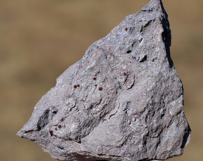 Garnet var. Almandin 61 grams - Furru e Conca Quarries, Calangianus, Sassari Province, Sardinia, Italy
