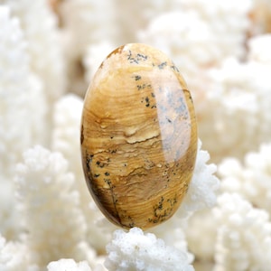 Jaspe Paysage 46 carats - cabochon pierre naturelle - Namibie / EQ15