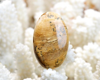 Landschapsjaspis 46 karaat - natuurstenen cabochon - Namibië / EQ15