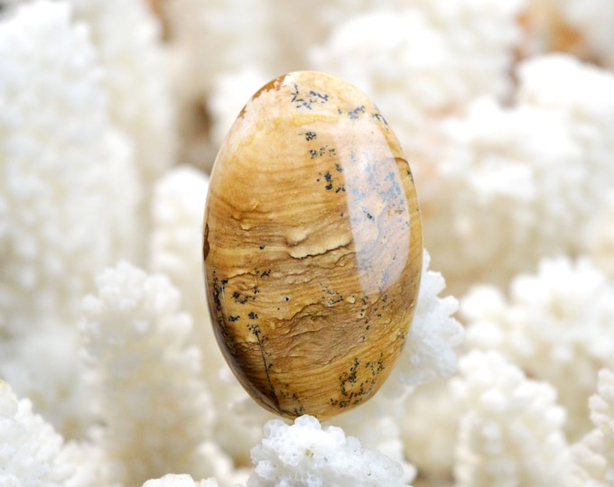 Landscape Jasper 46 carats - natural stone cabochon - Namibia / EQ15