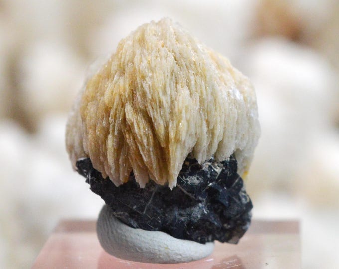 Galena & Baryte 14 grams - Le Buisson Mine, Montmirat, Saint-Étienne-du-Valdonnez, Mende, Lozère, Occitanie, France