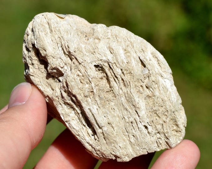 Pumice stone 32 grams - Rochefort-Montagne, Issoire, Puy-de-Dôme, Auvergne-Rhône-Alpes, France
