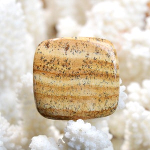 Diaspro Paesaggio 54 carati - cabochon in pietra naturale - Namibia / EQ22