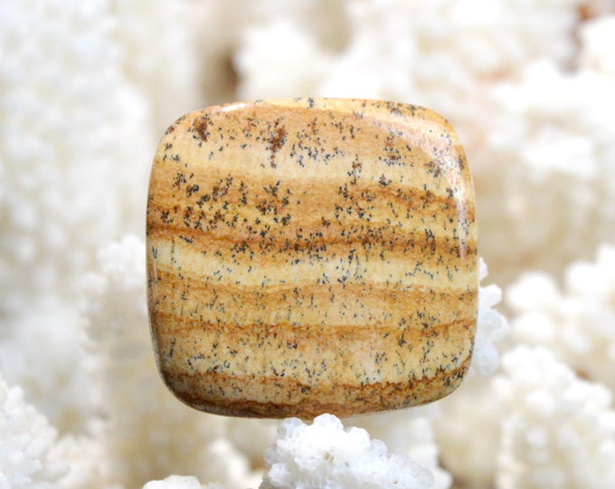 Landscape Jasper 54 carats - natural stone cabochon - Namibia / EQ22