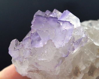 Fluorite - 252 grams - Melchor Múzquiz, Múzquiz Municipality, Coahuila, Mexico