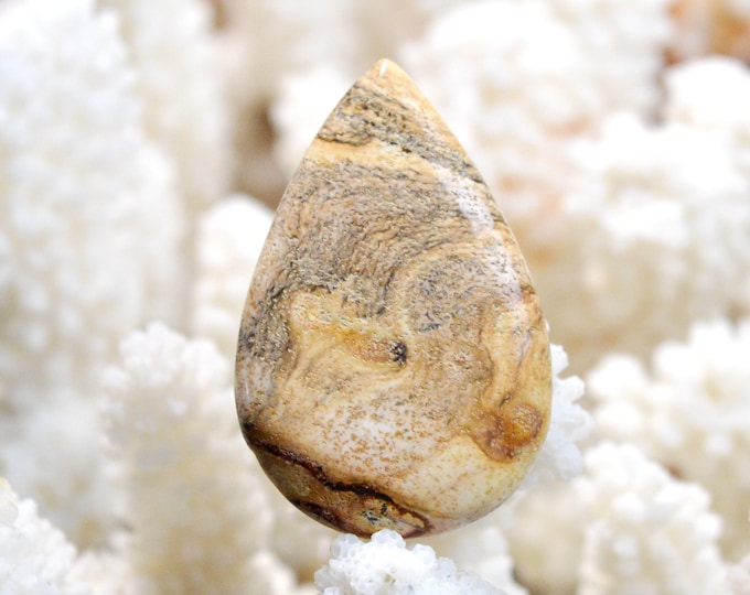 Landscape Jasper 46 carats - natural stone cabochon - Namibia / EQ10