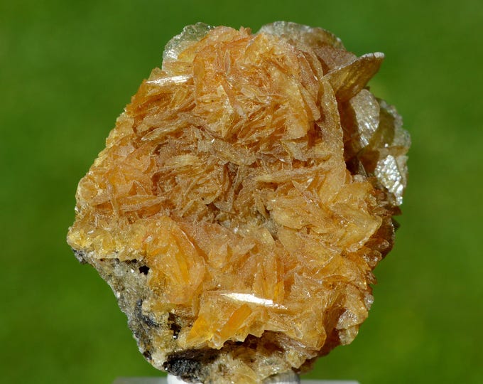 Gypsum 36 grams - Gmina Dobrzyń nad Wisłą, Lipno County, Kuyavian-Pomeranian Voivodeship, Poland