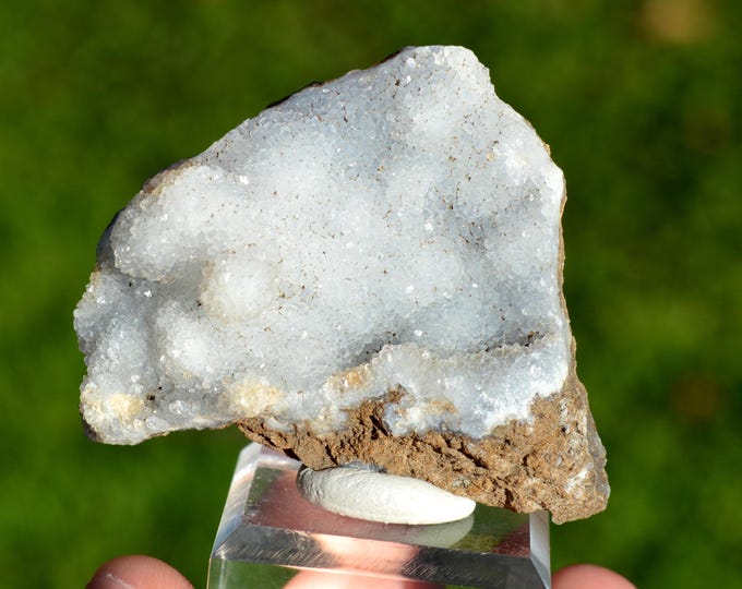 Chalcedony 77 grams - Bois de la Comté, Vic-le-Comte, Clermont-Ferrand, Puy-de-Dôme, Auvergne-Rhône-Alpes, France